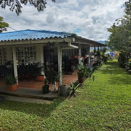Villa Monica Montenegro Esterno foto