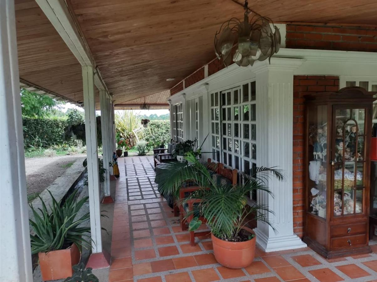 Villa Monica Montenegro Esterno foto